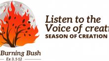 the burning bush